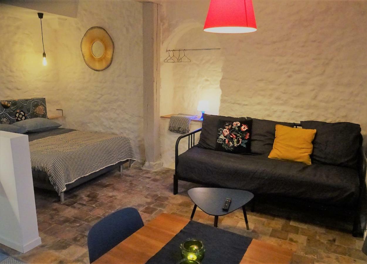 Appartement Spacieux Avec Une Vue Sur 투르 외부 사진