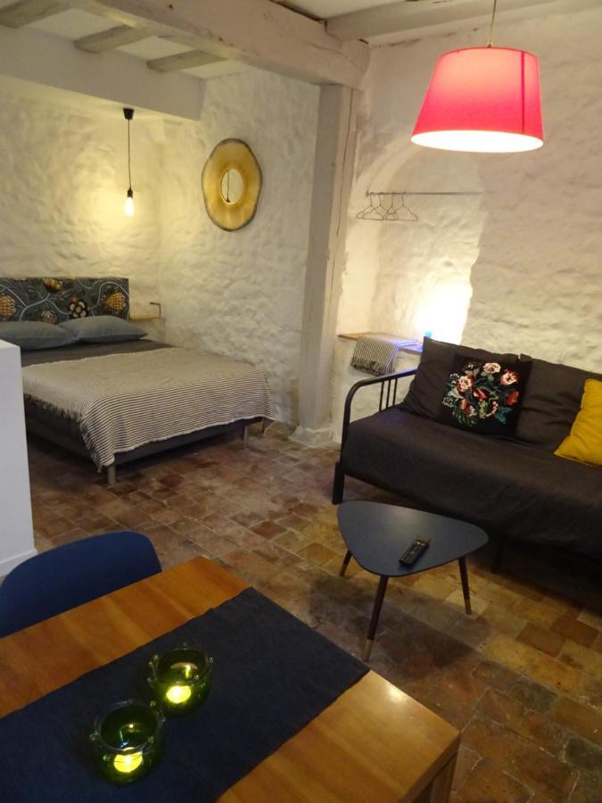 Appartement Spacieux Avec Une Vue Sur 투르 외부 사진